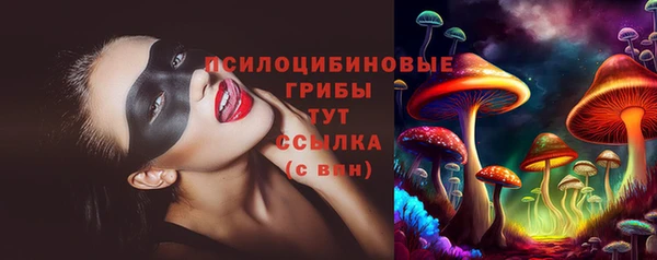 гидропоника Лабытнанги