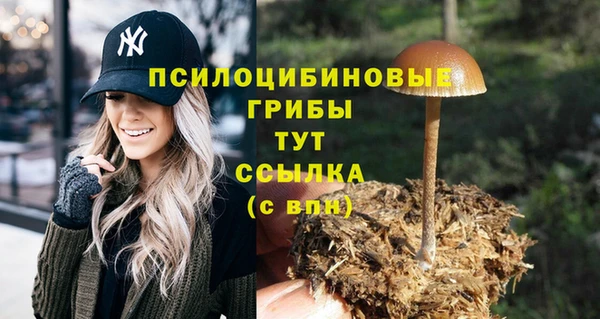 гидропоника Лабытнанги