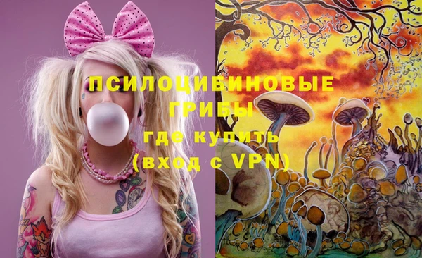 гидра Лагань