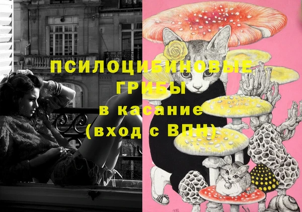 2c-b Куйбышев