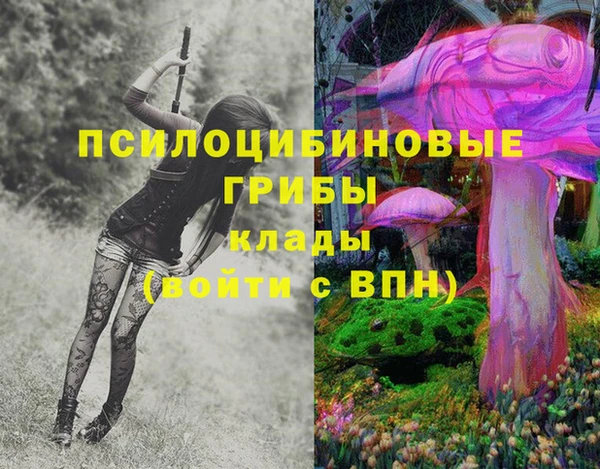хмурый Кулебаки