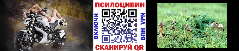 Галлюциногенные грибы MAGIC MUSHROOMS  Михайловка 