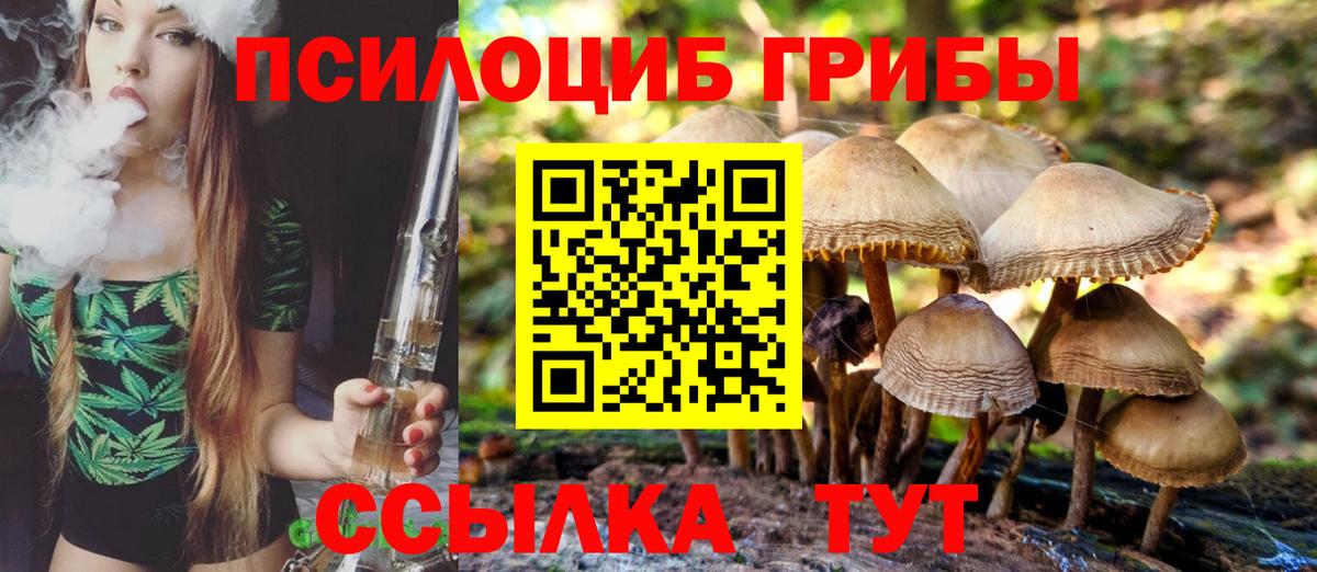 Псилоцибиновые грибы GOLDEN TEACHER  Вход с VPN  Галлюциногенные грибы Psilocybine cubensis  Михайловка 